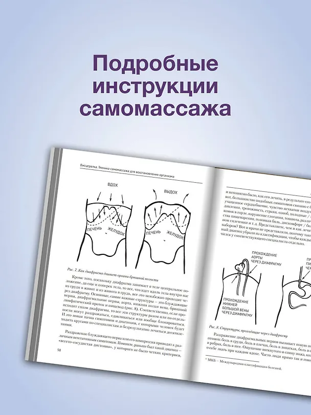 Книга Висцералка. Техника самомассажа для восстановления организма. Самая полезная книга про живот (Тимофей Кармацкий) — 7