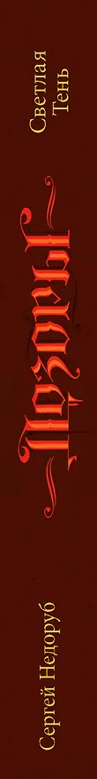 Книга Светлая Тень (Сергей Недоруб) — 3