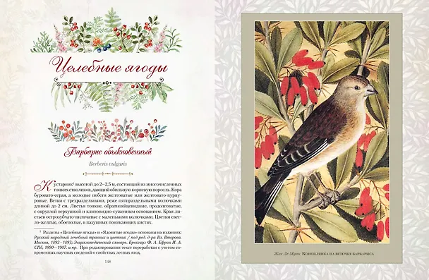 Книга Русский лес. Грибы и ягоды () — 10