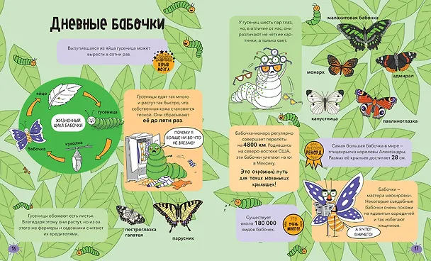 Книга Насекомые и не только. От шмелей до навозных жуков: все ползуче-летучие факты, рекорды и достижения (Нудл Фьюэл) — 5