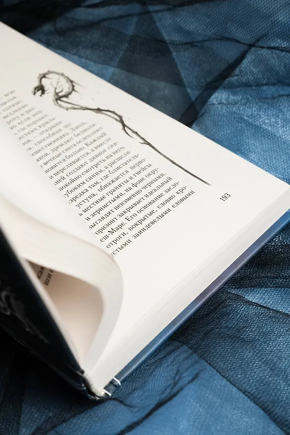 Книга Залесье (Дмитрий Иванов) — 15