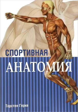 Спортивная анатомия — 2537980 — 1