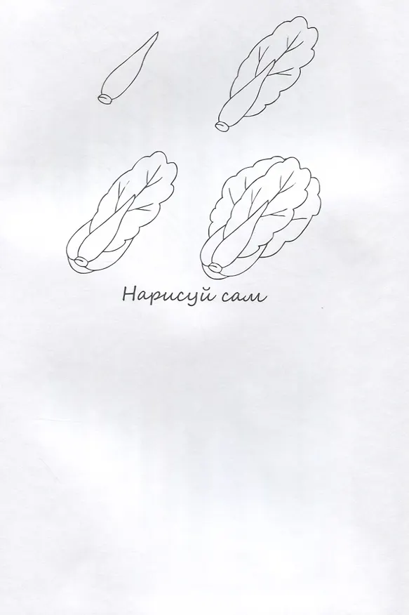Книга Фрукты НС-5-3 () — 3