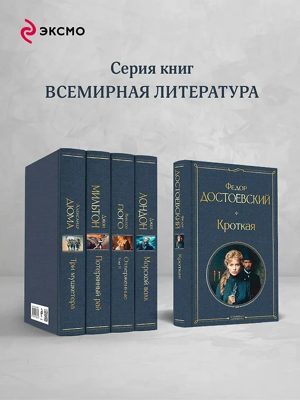 Книга Кроткая (Федор Достоевский) — 7
