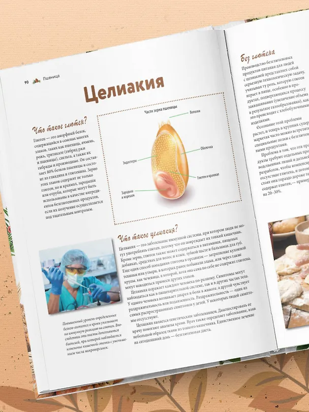 Книга Семена и зерна. Иллюстрированный атлас. Удивительные факты о сельскохозяйственных культурах и их влияние на развитие человечества (Жорж Монторо) — 12
