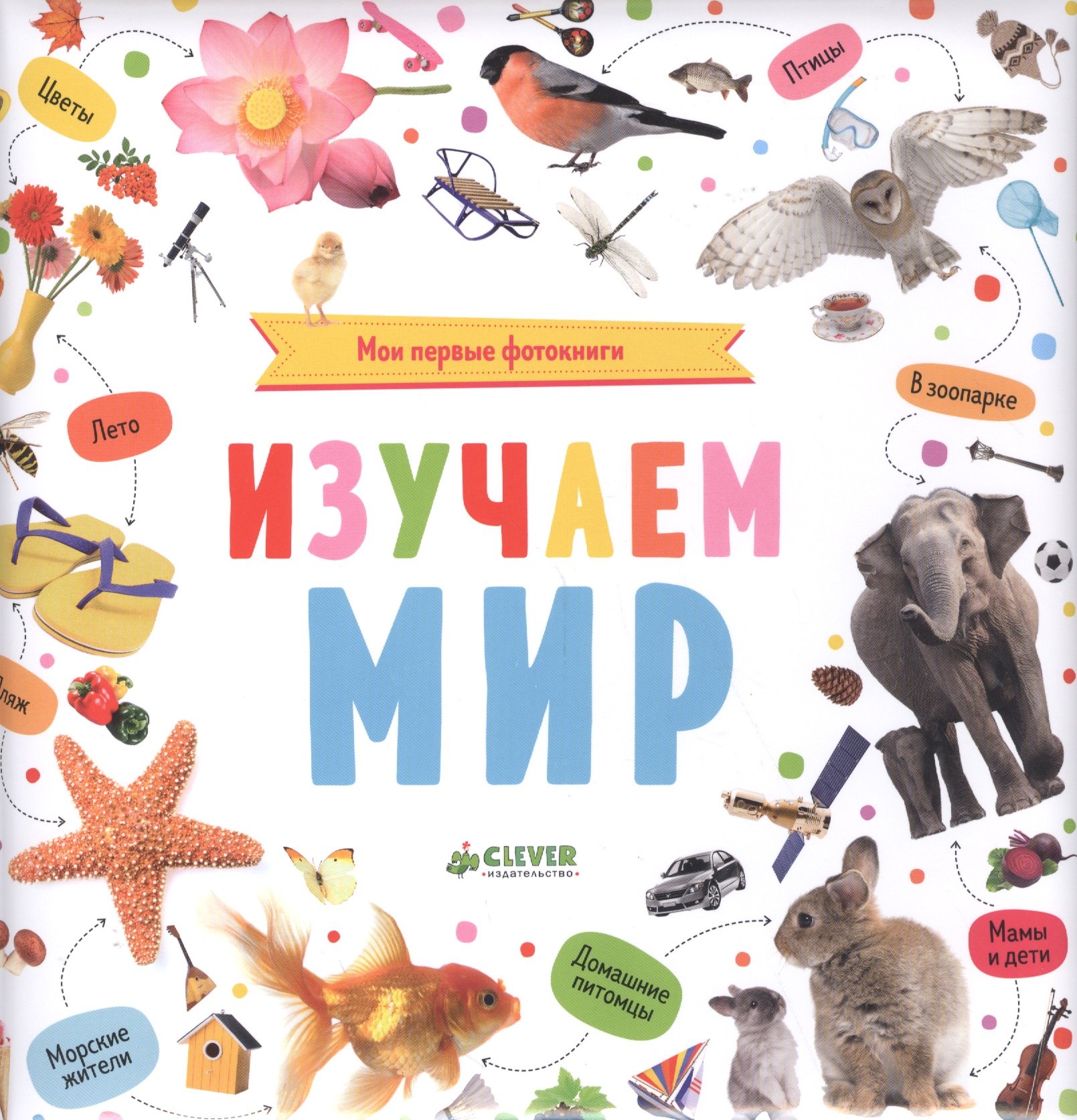 

Мои первые фотокниги. Изучаем мир