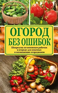 Огород без ошибок: секреты успеха