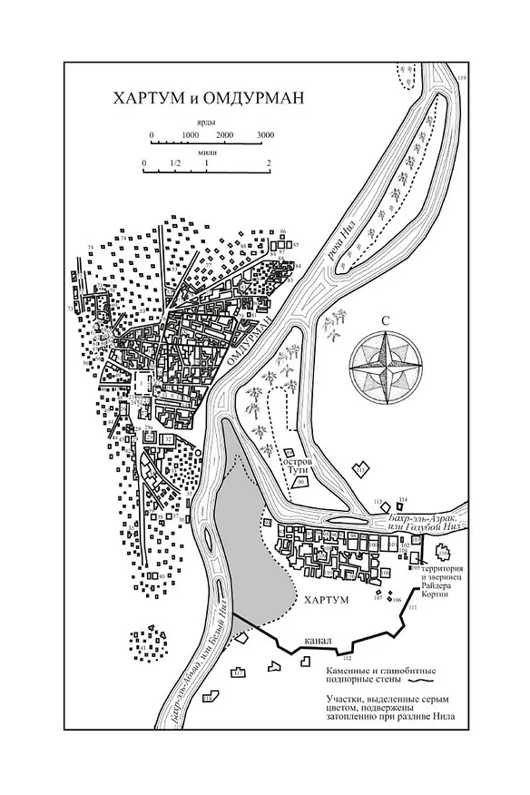 Книга Триумф солнца (Уилбур Смит) — 10