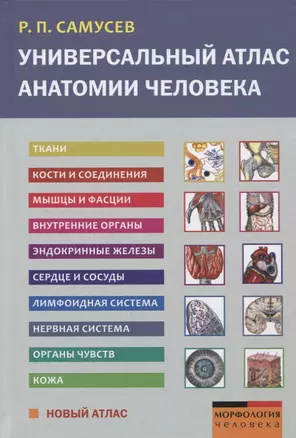 Универсальный атлас анатомии человека. Учебное пособие для студентов медицинских учебных заведений — 2751619 — 1