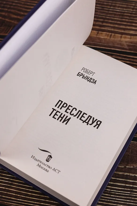 Книга Преследуя тени (Роберт Брындза) — 13