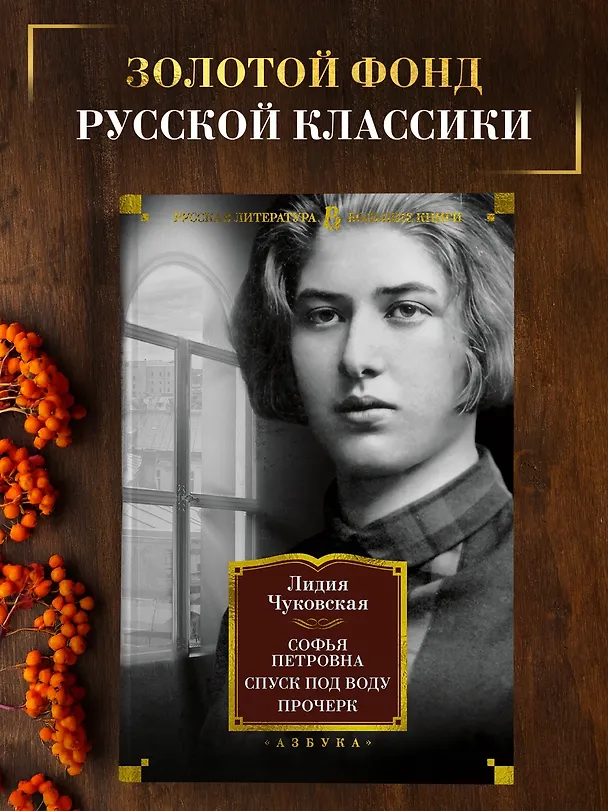 Книга Софья Петровна. Спуск под воду. Прочерк (Лидия Чуковская) — 4