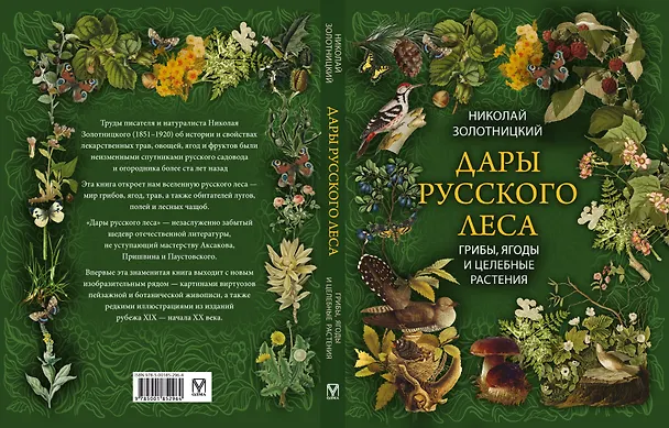 Книга Дары русского леса. Грибы, ягоды и целительные растения (Николай Золотницкий) — 2