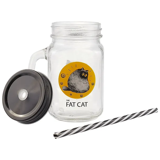 Банка с ручкой и крышкой для коктейлей Fat cat (стекло) (450 мл) 2692264 — 2