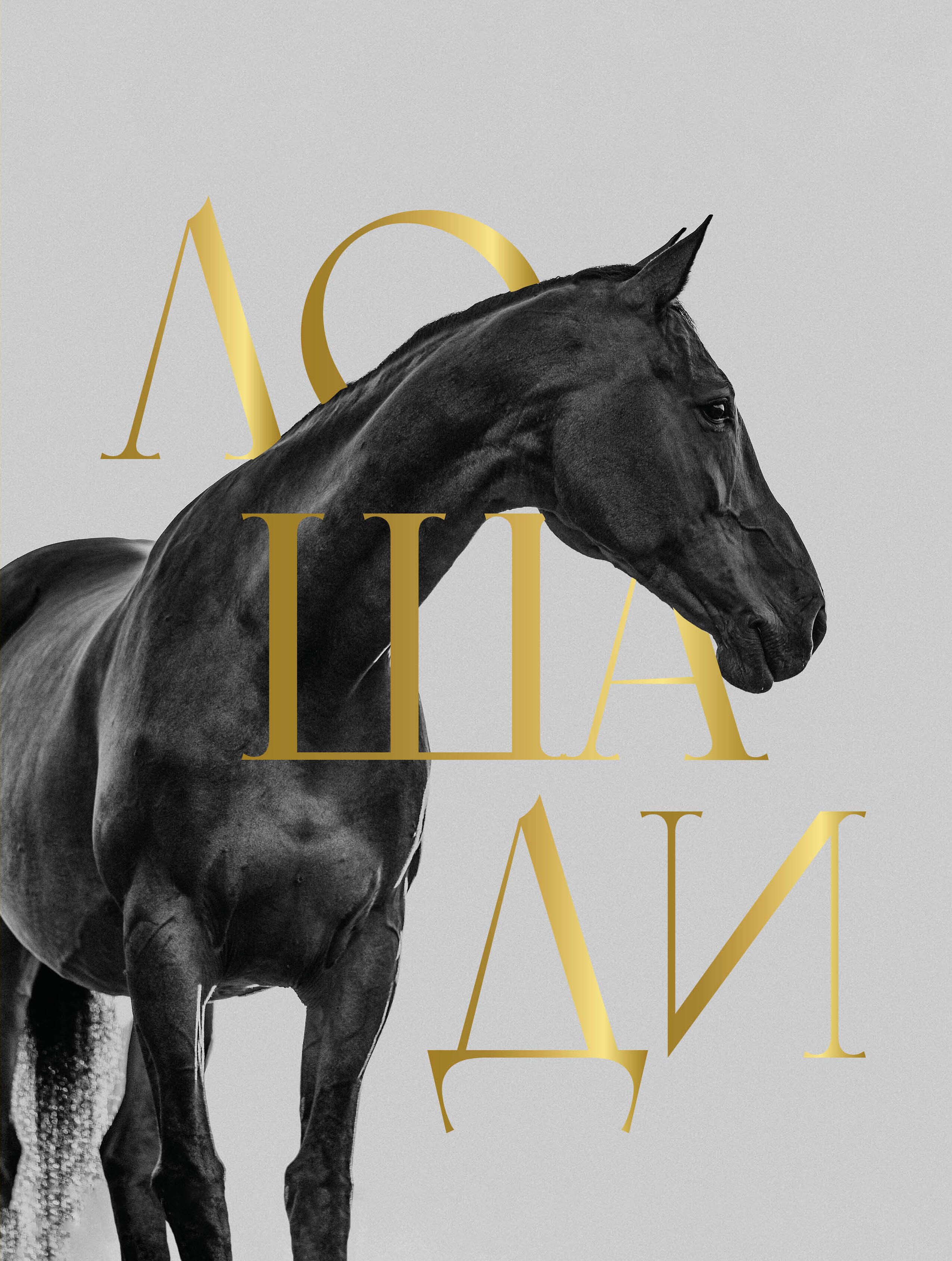 Спектор Анна Артуровна: Лошади. Футляр