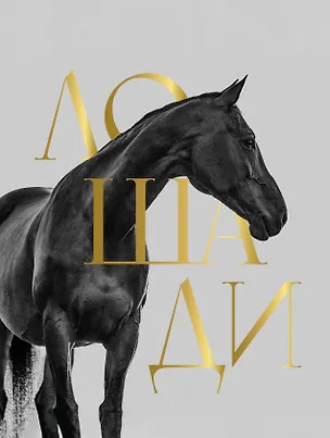 Книга Лошади. Футляр (Анна Спектор)