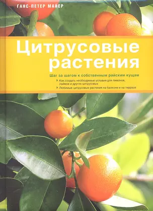 Цитрусовые растения — 2294027 — 1