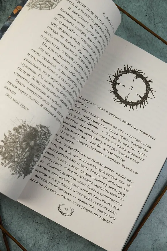 Книга Присяга фортуны (Камилла Саттон) — 13