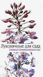 Луковичные для сада