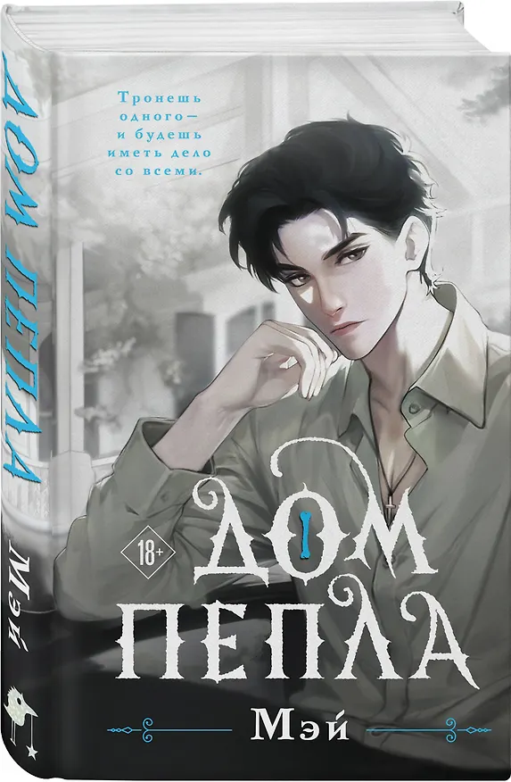 Книга Дом пепла (Мэй) — 4