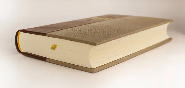 Книга Наполеон Бонапарт. Гражданский кодекс. Коллекционное иллюстрированное издание премиум-класса в кожаном переплете ручной работы в стиле 19 века с бинтами, красочным тиснением и торшонированными обрезами (Наполеон Бонапарт) — 11