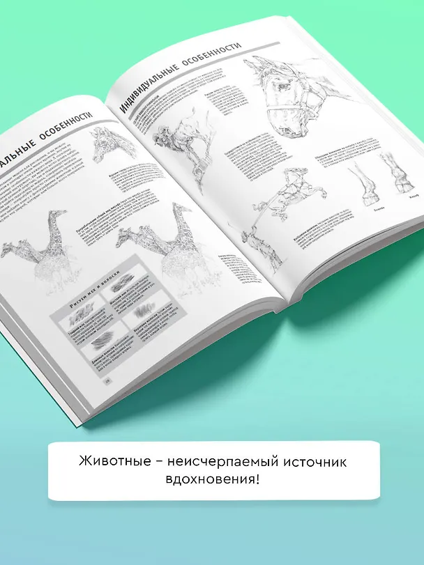 Книга Рисуем животных (Анна Степанова) — 5