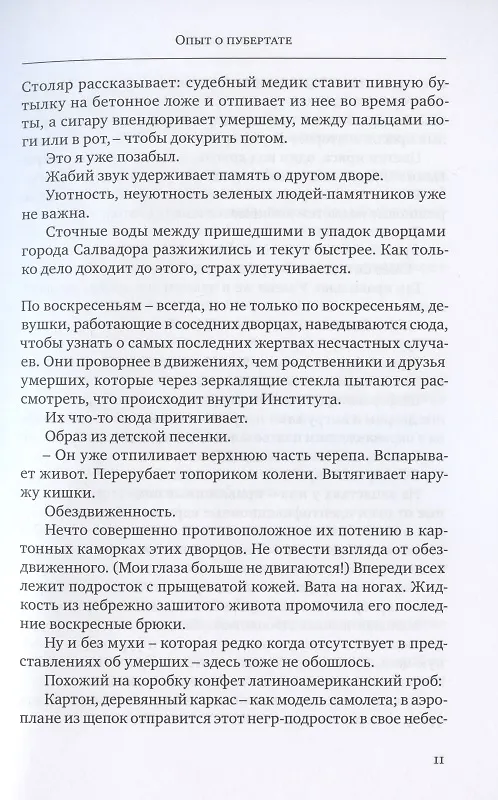 Книга ОПЫТ О ПУБЕРТАТЕ (Хуберт Фихте) — 4
