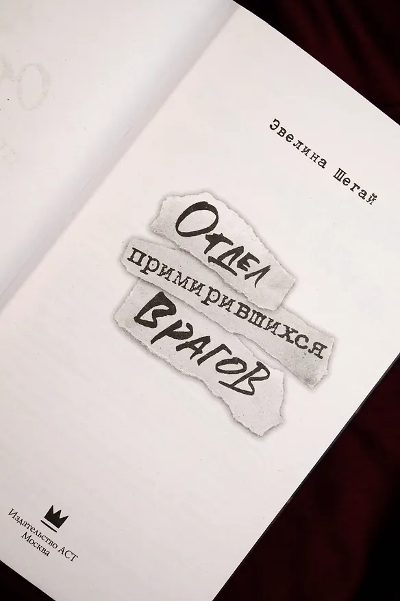 Книга Отдел примирившихся врагов (Эвелина Шегай) — 7