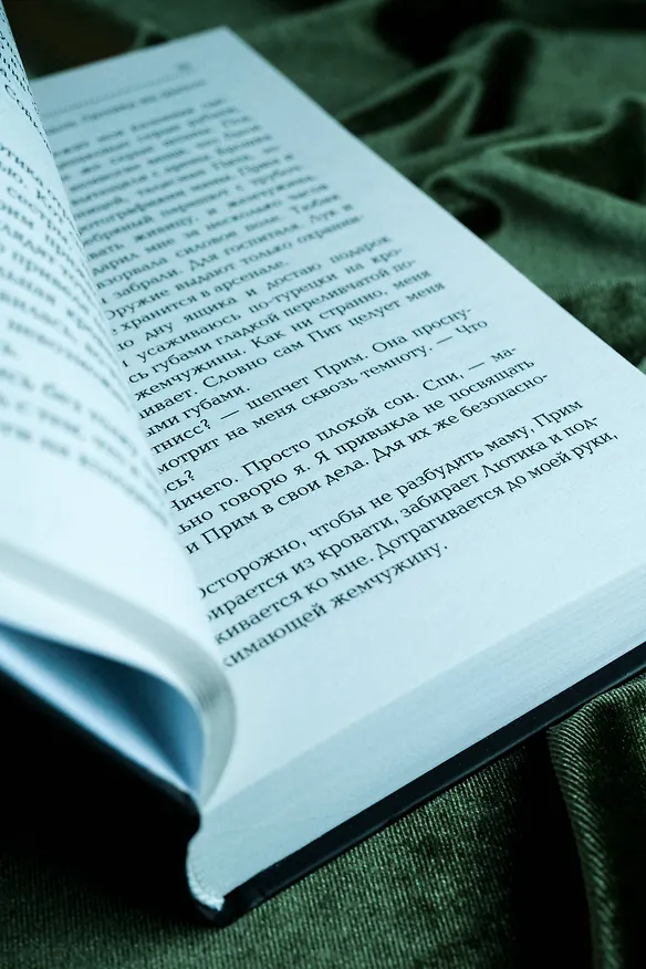Книга Сойка-пересмешница (Сьюзен Коллинз) — 10
