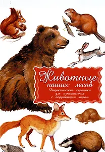 Животные наших лесов. Дидактические карточки для ознакомления с окружающим миром