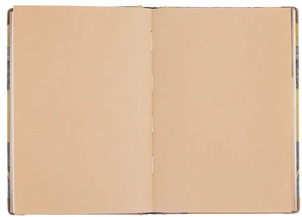 Книга для записей "Ван Гог. Ирисы" А5, твердая обложка 3134505 — 8