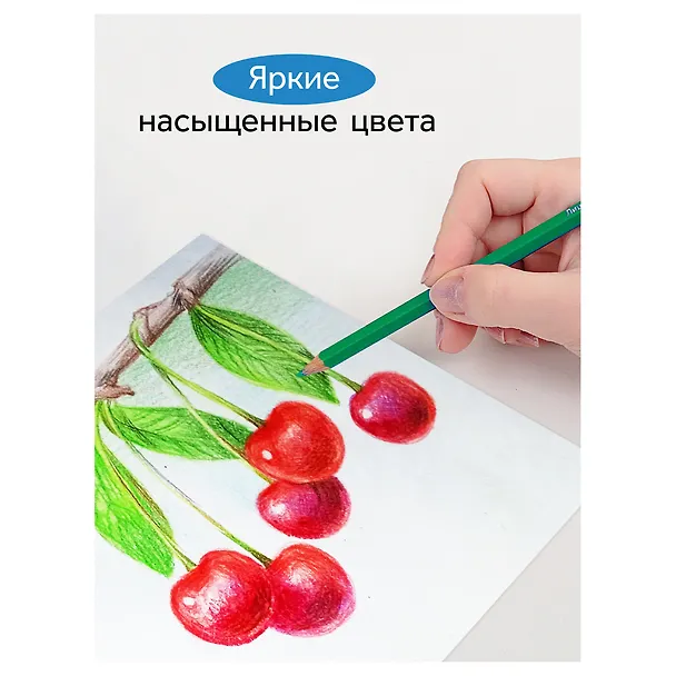 Карандаши цветные 6 цветов "Классические" 3096263 — 7