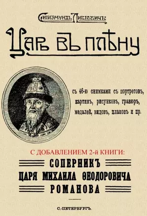 Царь в плену. Соперник царя Михаила Федоровича Романова — 2956594 — 1