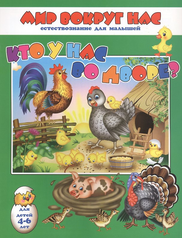 Книга Кто у нас во дворе? Для детей 4-6 лет () — 1