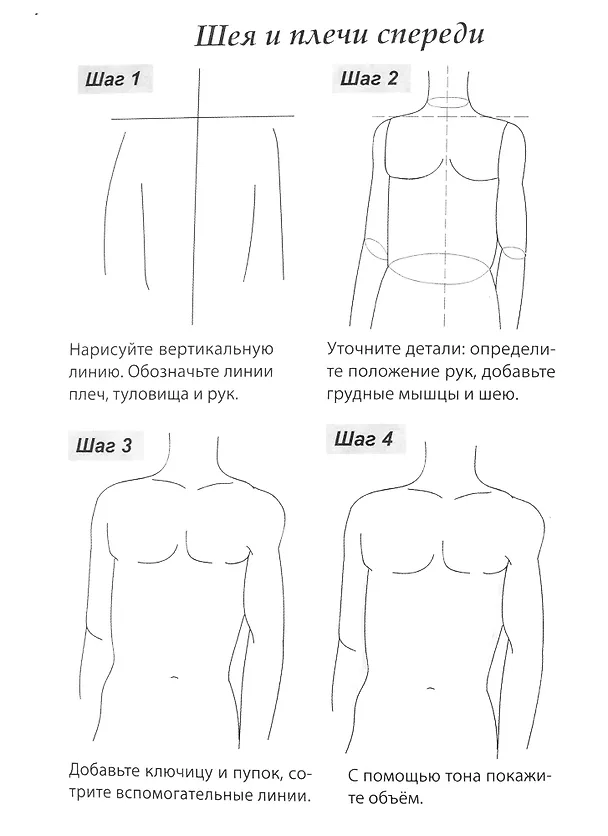 Скетчбук А5 Уроки рисования по шагам. Анатомия человека 2905532 — 5