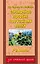 Справочное пособие по русскому языку. 1-2 классы — 1801931 — 1
