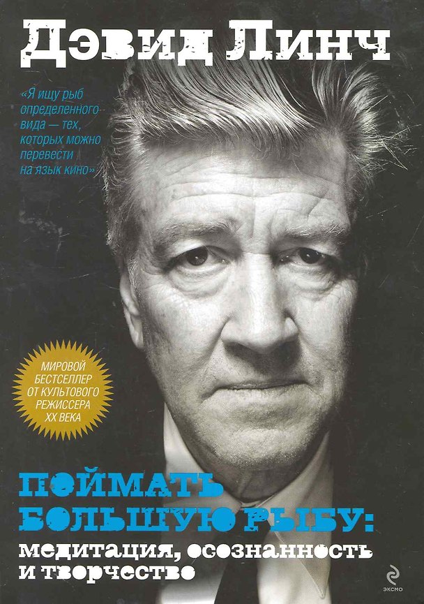 Книга Поймать большую рыбу: медитация, осознанность и творчество (Дэвид Линч) — 1