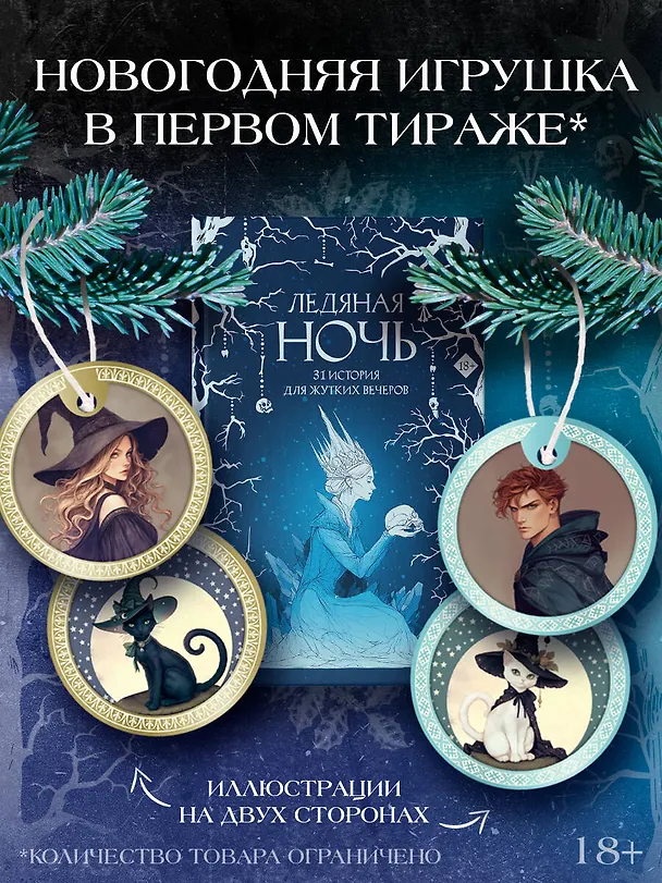 Книга Ледяная ночь. 31 история для жутких вечеров (Анна Щучкина, Мария Токарева, Дария Эссес) — 6