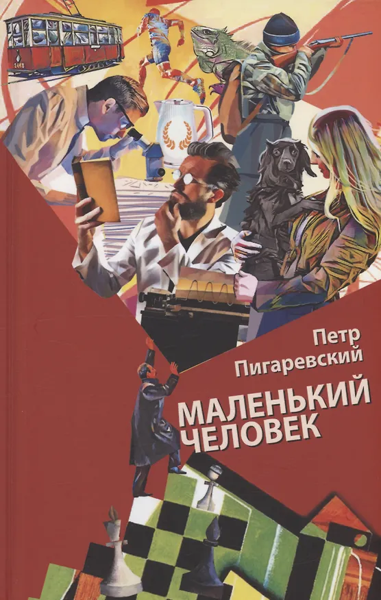 Книга Маленький человек (Пётр Пигаревский) — 1