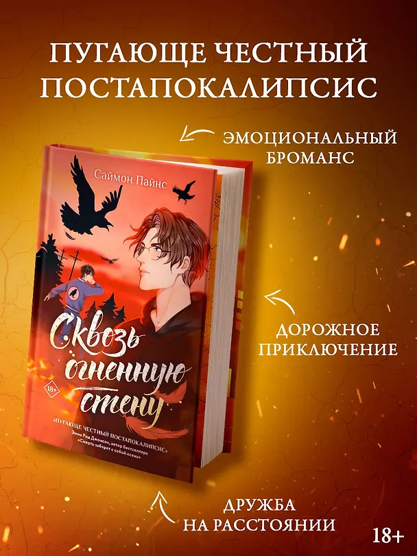 Книга Сквозь огненную стену (Саймон Пайнс) — 5