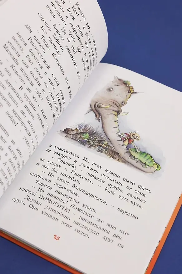 Книга Тафити и великий пожар (Юлия Бёме) — 10