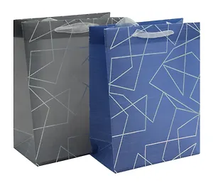 Пакет А5 25*19*8,5 "Графика" нейтр., пластик