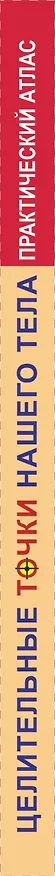 Книга Целительные точки нашего тела. (Дмитрий Коваль) — 3