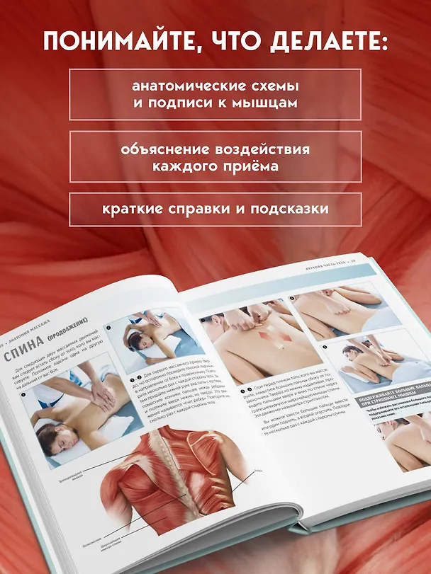Книга Анатомия массажа. Основы массажа нижней и верхней части тела с анатомическими иллюстрациями (Абигейл Эллсуорт) — 8