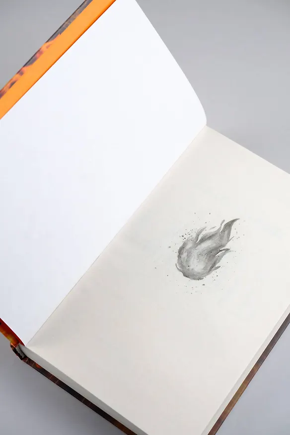 Книга Чернила и огонь (Бенито Олмо) — 9