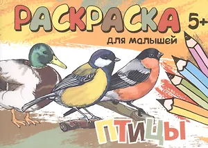 Птицы. Раскраска для малышей
