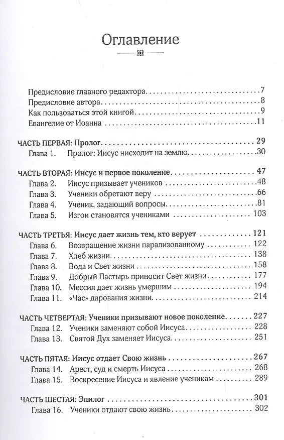 Книга Евангелие для второго поколения Комментарий на Евангелие от Иоанна (мБиблКоммент) Паулин () — 2