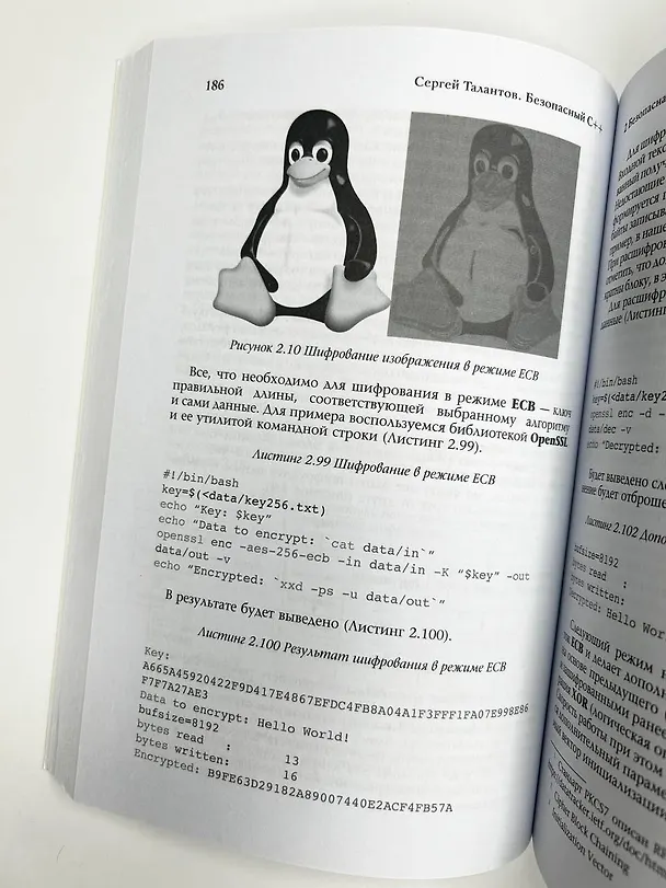 Книга Безопасный С++. Руководство по безопасному проектированию и разработке программ (Сергей Талантов) — 11