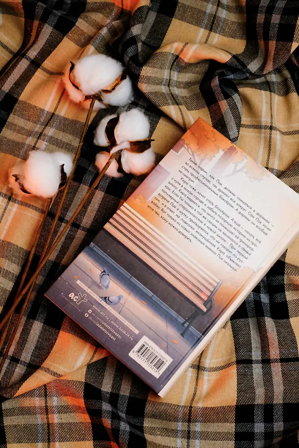 Книга Кот и кореец (Ася Фуллер) — 13