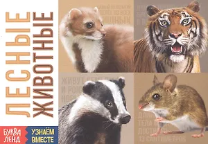 Обучающая книга «Лесные животные»