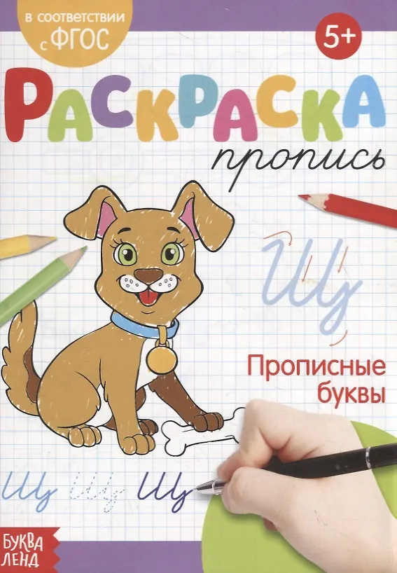 Книга Раскраска-пропись «Прописные буквы» (Е. Сачкова) — 1